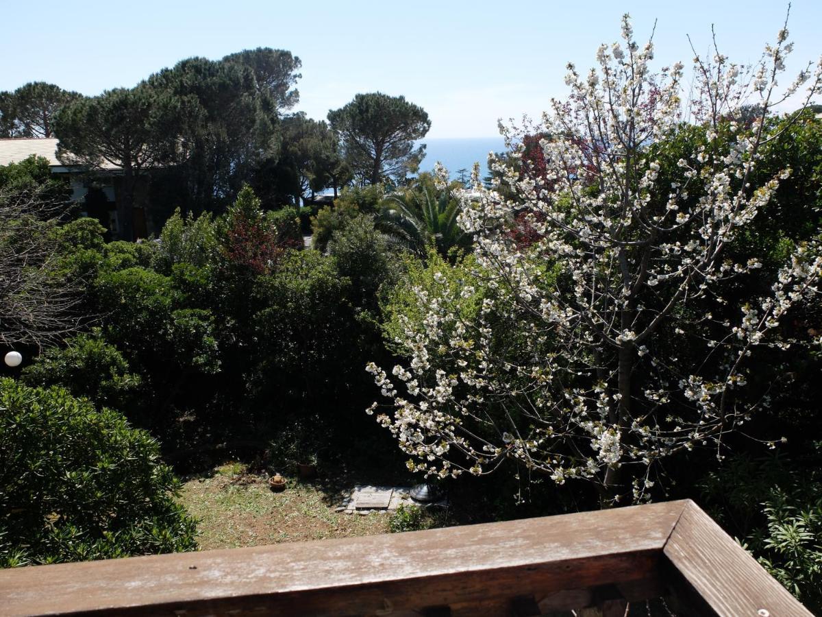 B&B Verde Sul Mare Аренцано Экстерьер фото